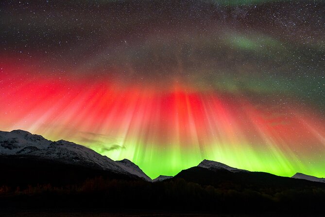 From Tromsø: OFFICIAL Northern Lights Safari by Minibus - Tromsø minibus aurora search: what’s actually different