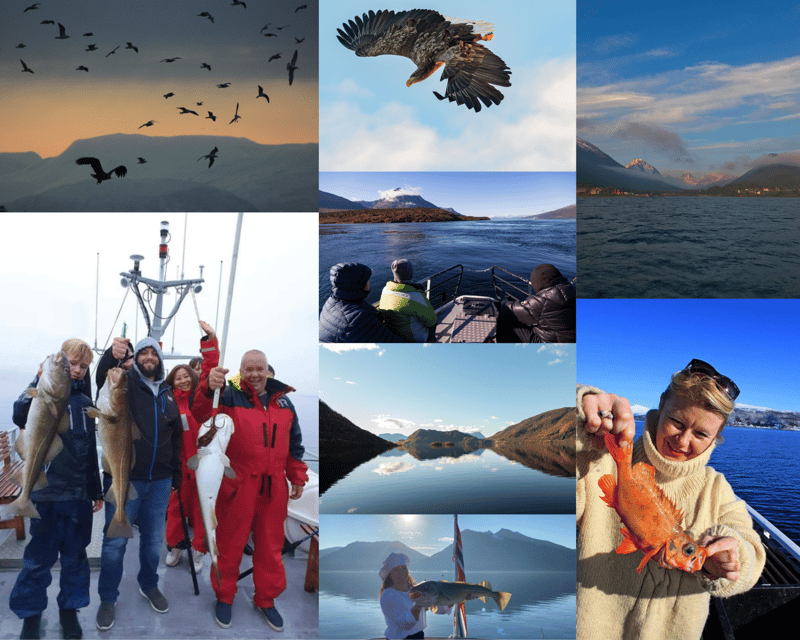 From Tromso: Polar Fishing Adventure - Stop 1: Hella on Kvaløya—guided breaks and learning the water