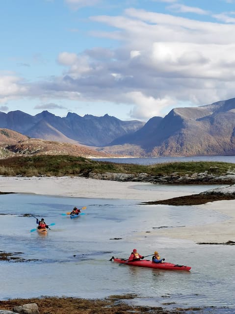 From Tromsø: Sea Kayaking Tour at Sommarøy with Transfer - Wildlife spotting without turning it into a waiting game