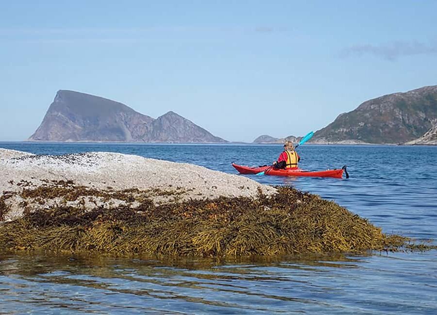 From Tromsø: Sea Kayaking Tour at Sommarøy with Transfer - The white beach stop: warm drinks, leg stretch, and tidal-zone curiosity