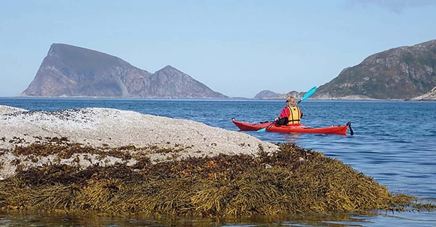 From Tromsø: Sea Kayaking Tour at Sommarøy with Transfer - Back at the fishing village: your one-hour walk on your own