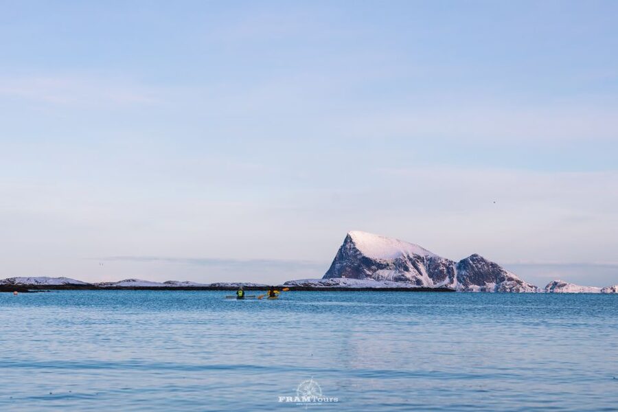From Tromsø: Senja and Kvaløya Arctic Day Trip with Lunch - The guide experience: stories, weather talk, and local wildlife context