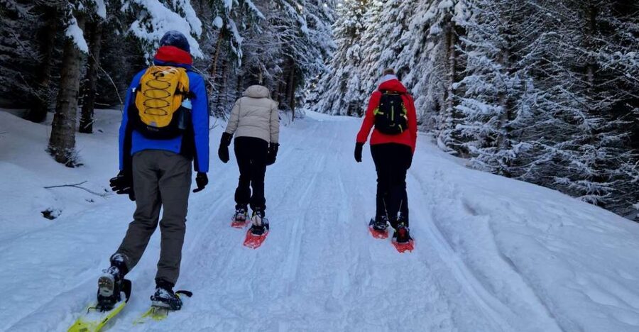 From Tromsø: Snowshoe Hike in the Arctic - The 30-Minute Van Ride That Sets the Tone