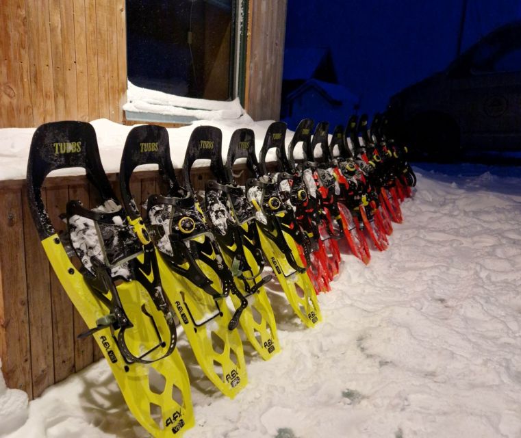 From Tromsø: Snowshoe Hike in the Arctic - 3 Hours at Ersfjordbotn: What the Snowshoe Trail Actually Feels Like