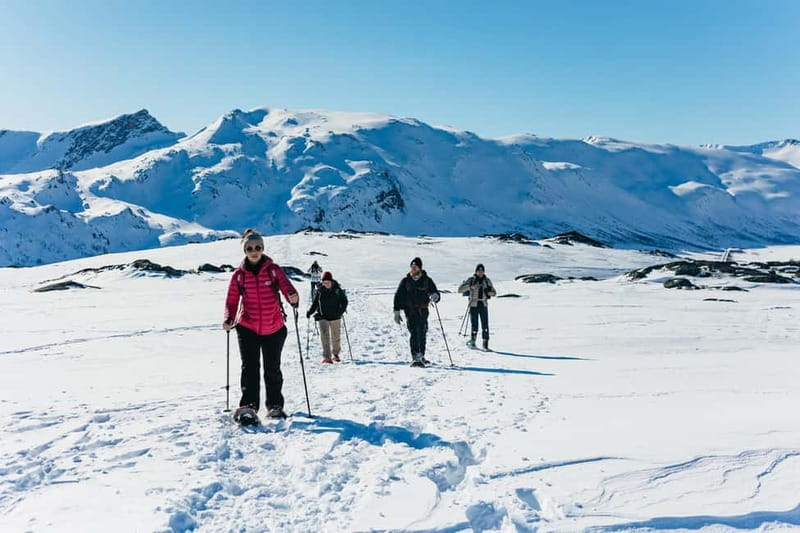 From Tromsø: Snowshoeing Hike with Picnic Lunch and Photos - Key highlights you’ll feel in Tromsø’s Arctic winter