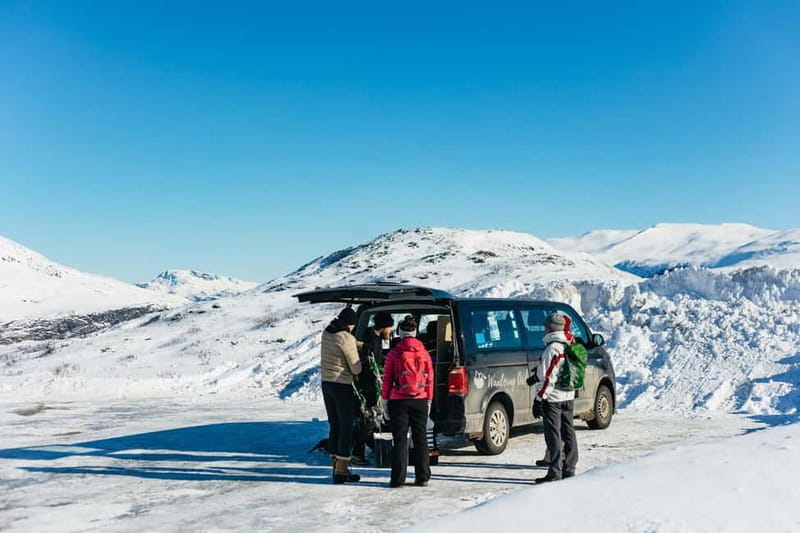 From Tromsø: Snowshoeing Hike with Picnic Lunch and Photos - Value check: is $152 worth it for a Tromsø winter morning?
