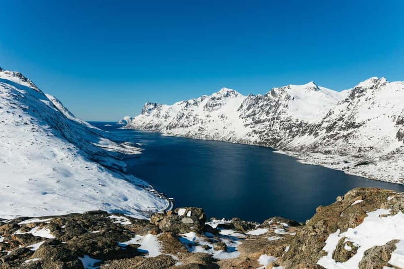 From Tromsø: Snowshoeing Hike with Picnic Lunch and Photos - The uphill walk: snowshoes, poles, and spotting Arctic wildlife