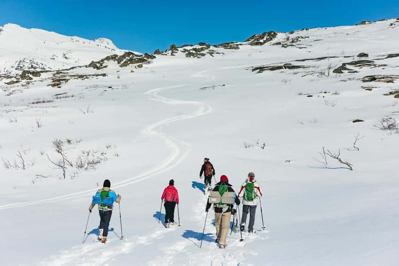 From Tromsø: Snowshoeing Hike with Picnic Lunch and Photos - Photos after the hike: less effort, better memories
