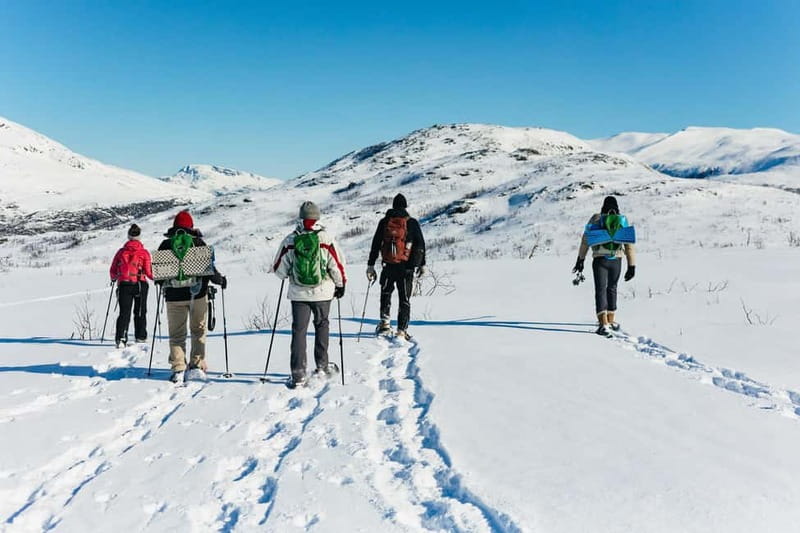 From Tromsø: Snowshoeing Hike with Picnic Lunch and Photos - Pace and fitness: who this suits best (and who should pick something else)