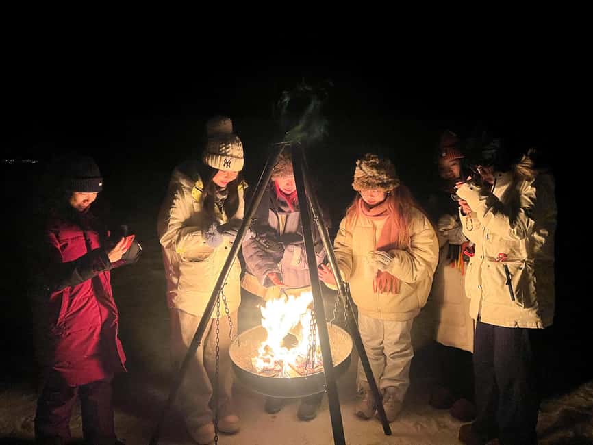 Full Night Magic of the Arctic Lights in Tromso - Small-group comfort: minibus ride, limited space, big payoff