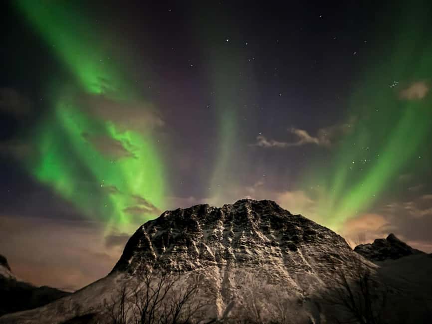 Full Night Magic of the Arctic Lights in Tromso - Who this Northern Lights night suits best
