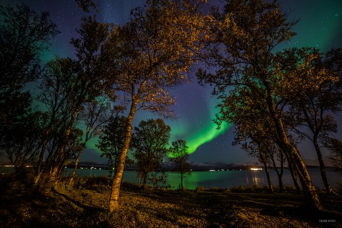 Full Night Magic of the Northern Lights in Tromso - Key things to know before you go