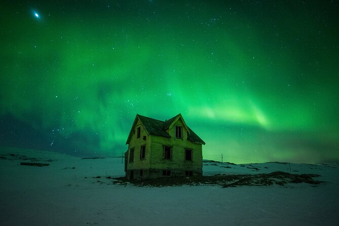 Full Night Magic of the Northern Lights in Tromso - Price Worth Paying: What $180.94 Includes and Why