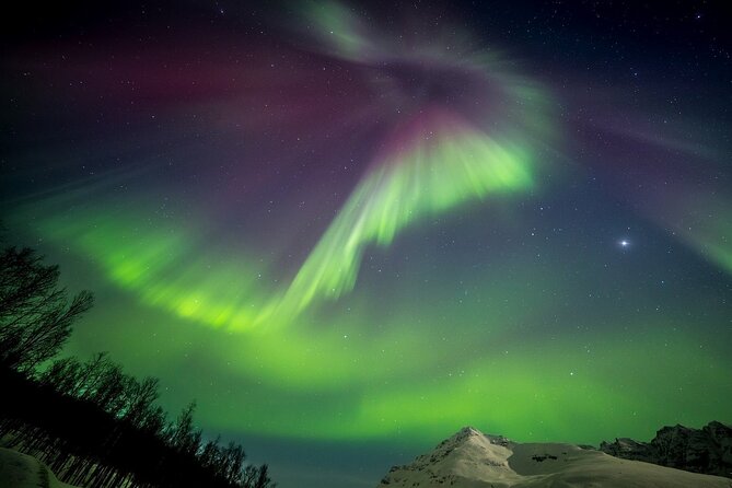Full Night Magic of the Northern Lights in Tromso - Stop 1 in Tromsø: Driving for Stronger Sky Conditions