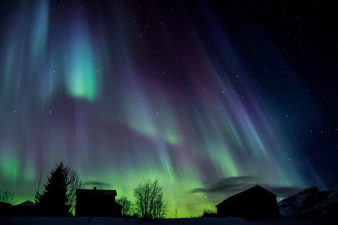 Full Night Magic of the Northern Lights in Tromso - Cold-Weather Reality Check: Dressing for 5°C to -30°C