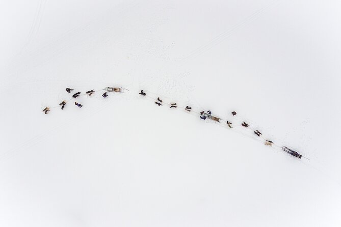 Fun & Easy Dog Sledding Adventure from Tromsø - Early Bird Tour - What Happens at the Huskies: Petting, Photos, and Dog Energy