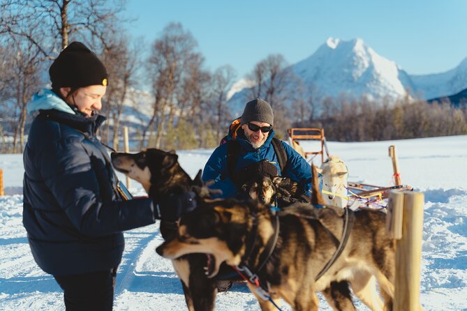 Fun & Easy Dog Sledding Adventure from Tromsø - Noon Tour - The sledding itself: how self-drive works with Alaskan huskies