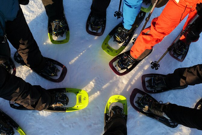 Guided easy snowshoeing with a visit to local café - Key Things to Know Before You Go