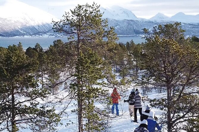 Guided easy snowshoeing with a visit to local café - What’s Included, What to Pack, and How to Dress