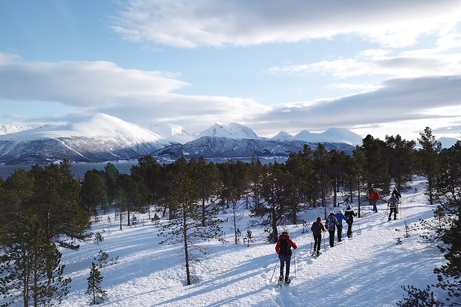 Guided easy snowshoeing with a visit to local café - Who This Tour Suits Best (and Who Might Want a Different Style)