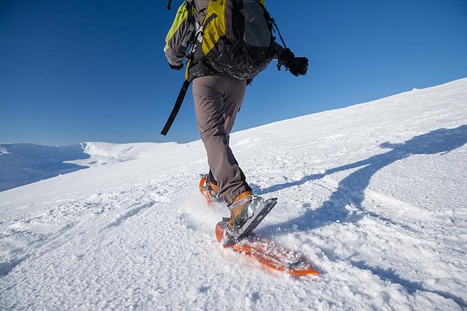 Guided Morning Snowshoe Hike with Huskies - Quick Take: Snowshoes, Huskies, and Arctic Views from Kvaløya