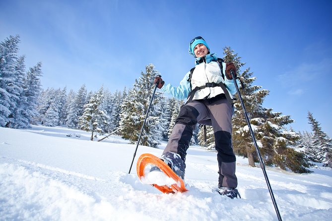 Guided Morning Snowshoe Hike with Huskies - The Warm Break: Coffee, Cake, and How the Gamme Works