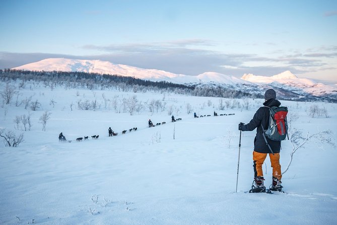 Guided Morning Snowshoe Hike with Huskies - Price and Value: What You’re Really Paying for at $192.33
