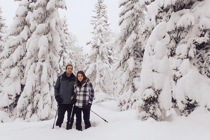 Guided Snowshoe Walk on Tromsoya Island in Tromso - Key points before you go