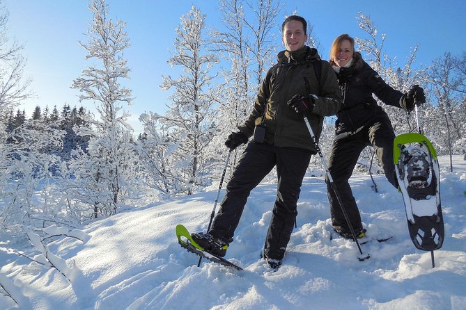 Guided Snowshoe Walk on Tromsoya Island in Tromso - Getting to Tromsøya: quick drive, real trail time