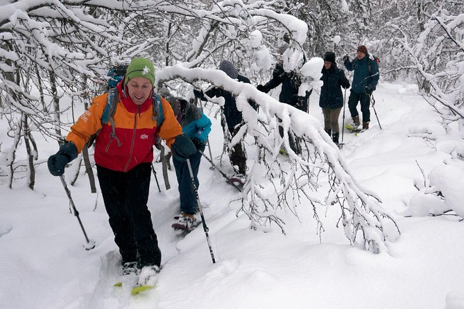 Guided Snowshoe Walk on Tromsoya Island in Tromso - Walking the forest: mostly flat, with a few gentle pushes
