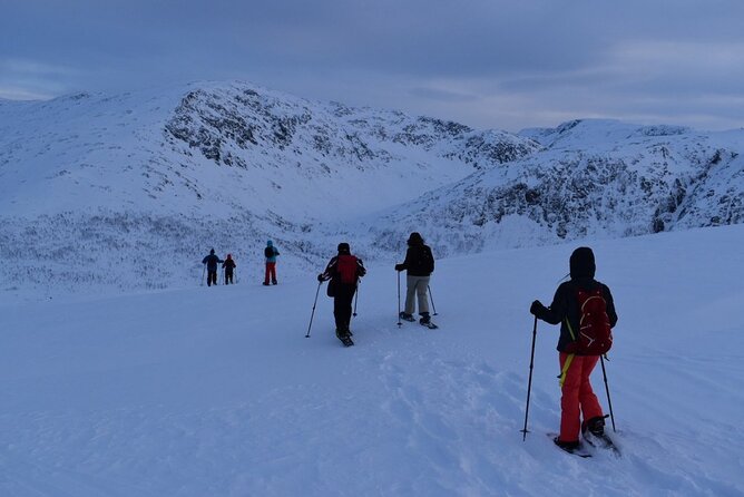 Guided Snowshoe Walk on Tromsoya Island in Tromso - Gear and clothing: what’s included and what you must plan