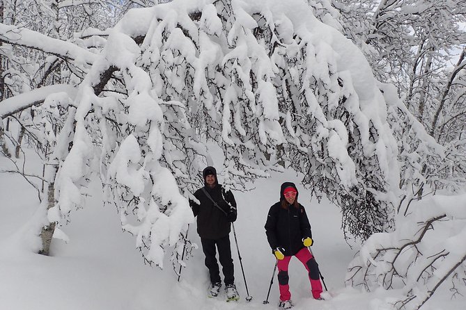 Guided Snowshoe Walk on Tromsoya Island in Tromso - Price and value: is $118.77 worth it?