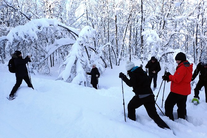 Guided Snowshoe Walk on Tromsoya Island in Tromso - The first 10 minutes: how snowshoe technique actually works