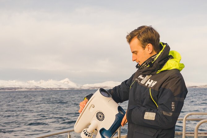 Half Day Arctic Fjord Cruise from Tromso - Key Highlights You Should Know