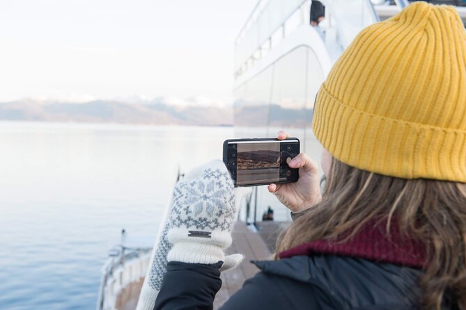 Half Day Arctic Fjord Cruise from Tromso - Why This Tromsø Fjord Cruise Feels More Like a Lesson