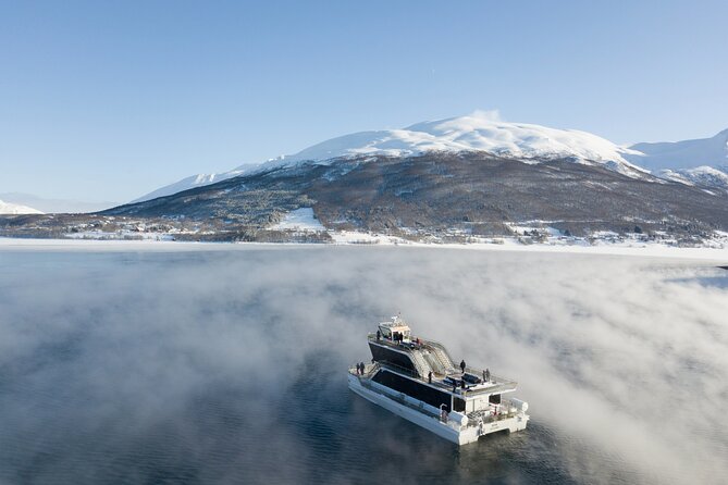 Half Day Arctic Fjord Cruise from Tromso - The 4-Hour Timing: What You Really Get On the Water