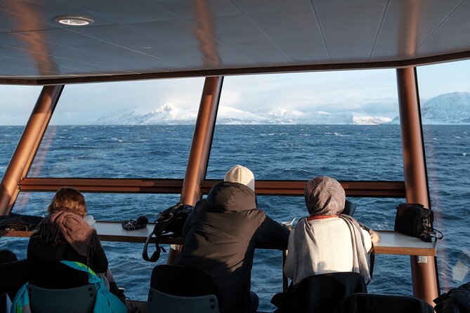 Half Day Arctic Fjord Cruise from Tromso - Stop 2: Kvaløya Fishing Facility and the Stories Behind It
