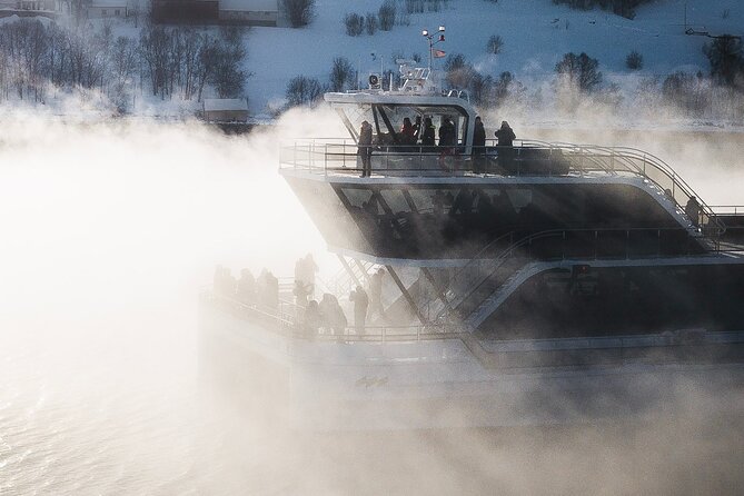 Half Day Arctic Fjord Cruise from Tromso - Price Value: Is $128 Per Person Worth It?