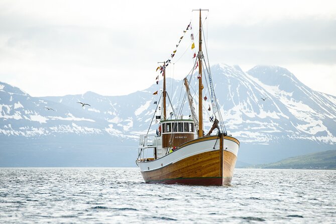 Half-Day Fishing & Fjord Cruise Adventure from Tromsø in Norway - Tromsø in 4½ Hours: What This Half-Day Gets You