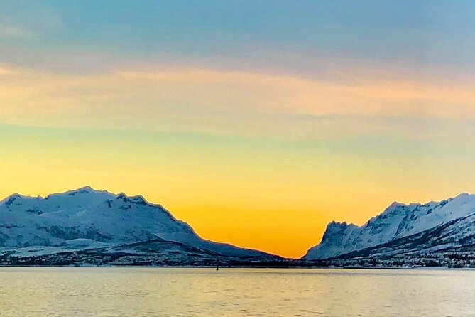 Half-Day Scenic Wildlife & Photographic Fjord Tour. - Weather and Timing: When Rain Still Keeps the Tour Moving
