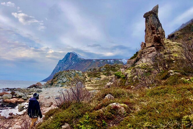 Half-Day Scenic Wildlife & Photographic Fjord Tour. - Who This Tour Suits Best Around Tromsø