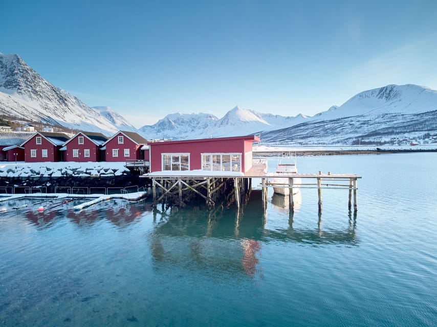 Lyngen: Snowmobile Safari with Lunch in seaside Restaurant - Arctic fishing village stop: what you’ll actually see by the sea
