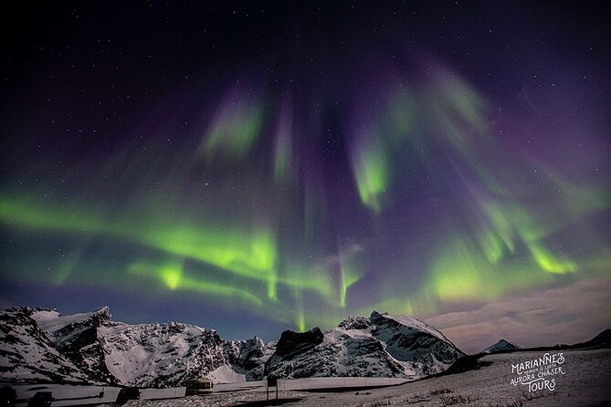 Marianne’s Heaven On Earth Aurora Chaser Tours - The Tromsø fjord-area route: several spots, then the best one