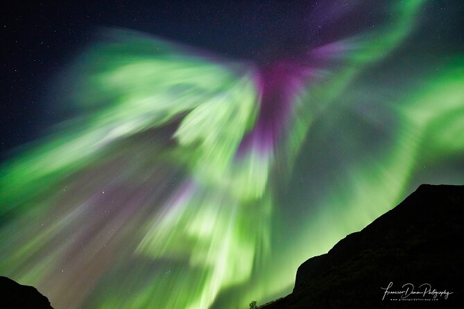 Minivan Northern Lights excursion (8 guests per minivan) - What the $204.51 price really buys you