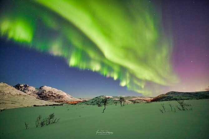 Minivan Northern Lights excursion (8 guests per minivan) - Photo help that doesn’t require aurora-level tech skills