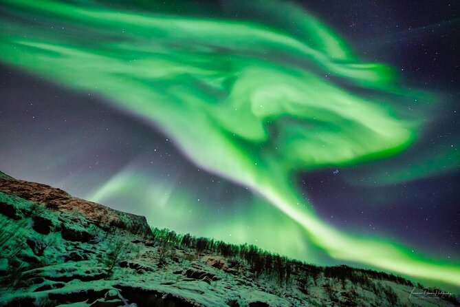 Minivan Northern Lights excursion (8 guests per minivan) - Guides, pacing, and how to get the most from the chase