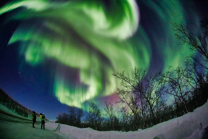 Minivan Northern Lights excursion (8 guests per minivan) - How much comfort you can expect in a minivan
