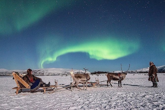 Night Reindeer Sledding with Camp Dinner and Chance of Northern Lights - Key things you’ll notice right away