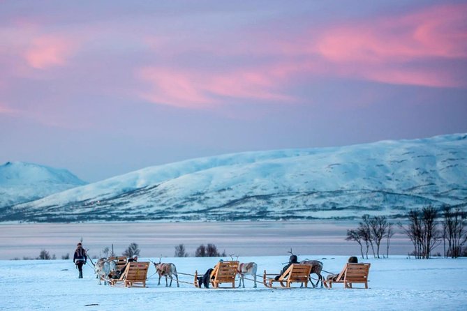 Night Reindeer Sledding with Camp Dinner and Chance of Northern Lights - What to Bring (So the Night Feels Easy Instead of Miserable)