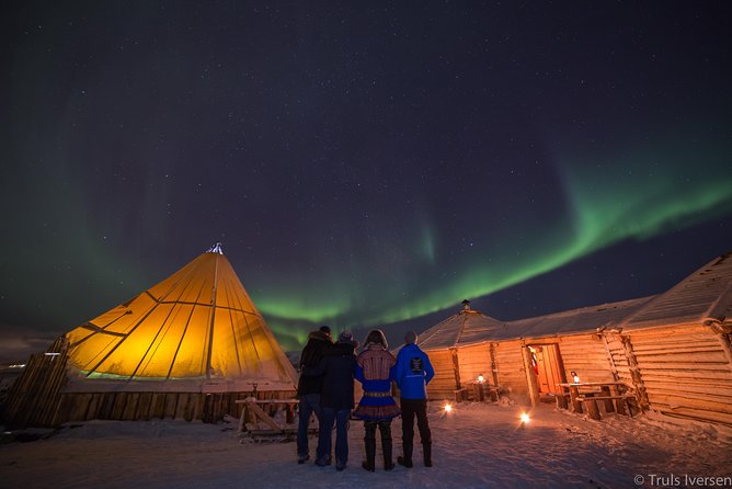 Night Reindeer Sledding with Camp Dinner and Chance of Northern Lights - Who This Tour Suits Best